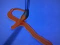 Opening To Here Comes Peter Cottontail 1992 Vhs Avon Copy