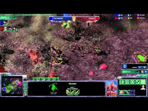 IEM Quarter Finals Idra vs Revival Game 1