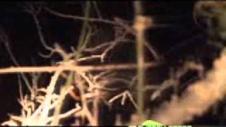 Christy First Wild Hog Kill