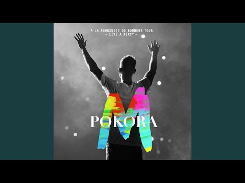 Video thumbnail for Si tu pars (Live Bercy 2012)