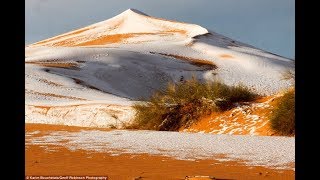 In the Sahara desert, snow fell again