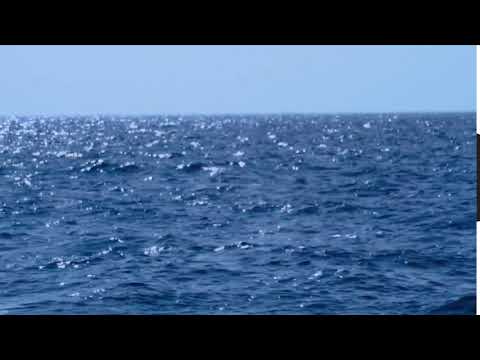 Wide Open Ocean Video