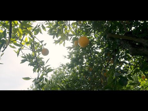 Chb Group : Who we are - What we do