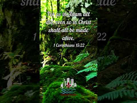 1 Coríntios 15:22