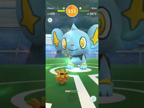 Tiny shinys against shinx raid