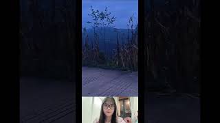 Download lagu Lãng mạn quá #music #love #song #coversong #singersongwriter #cover #pets mp3 Download lagu Lãng mạn quá #music #love #song #coversong #singersongwriter #cover #pets mp3