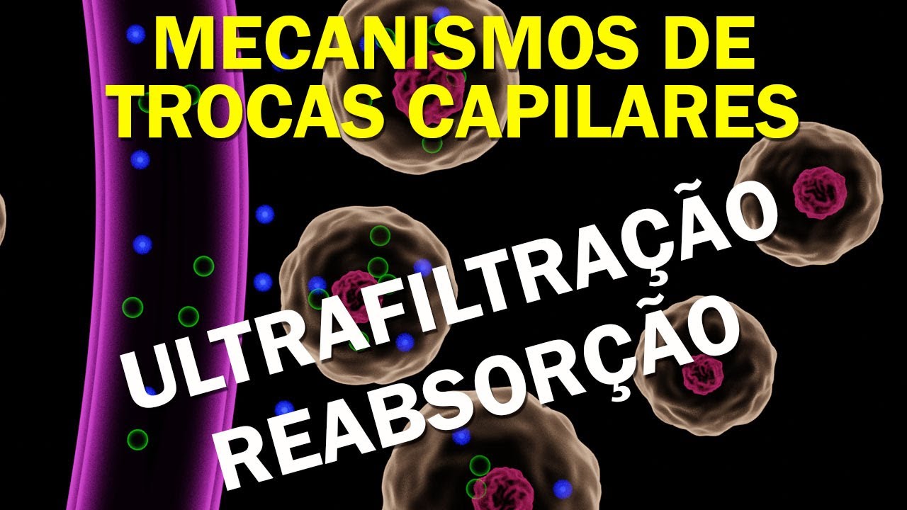 Os Mecanismos de Trocas Capilares - diferença entre ultrafiltração e reabsorção.
