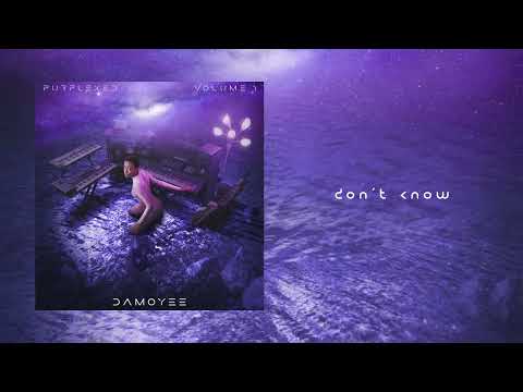 DAMOYEE - PURPLEXED VOLUME 1 - don't know (Visualizer)