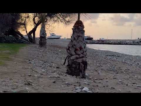 Samina in Beach Karlovasi Samos Greece in 4k