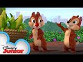 Goofy S Corny Concerto Chip N Dale S Nutty Tales Disney Junior
