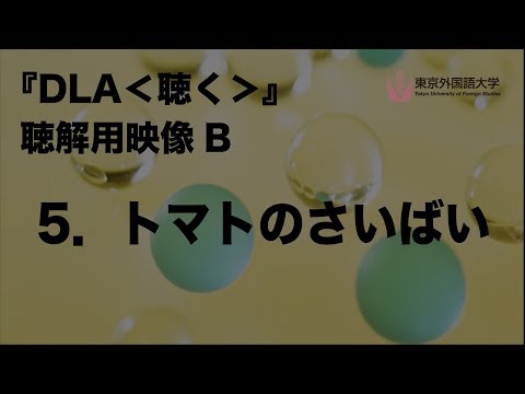[東京外国語大学］『DLA＜聴く＞』聴解用映像　B　5．トマトのさいばい