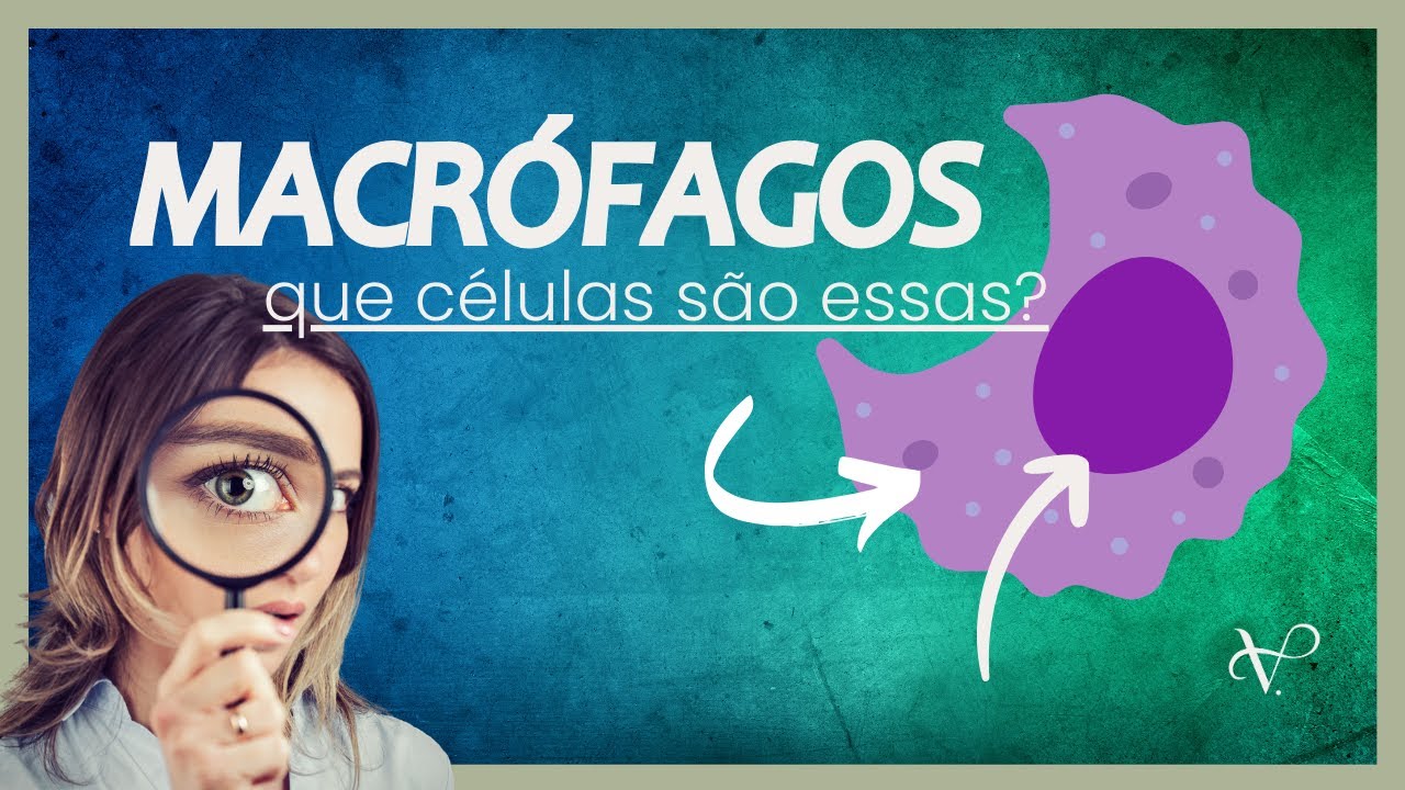 MACRÓFAGOS - QUE CÉLULAS SÃO ESSAS?
