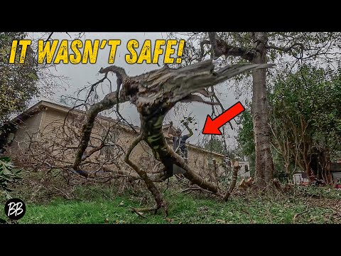 She Didn't Feel SAFE in her own Yard... I Found Out WHY