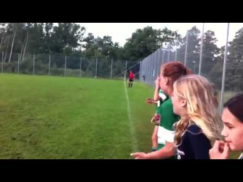 Slutsignalen Skadevi 2012