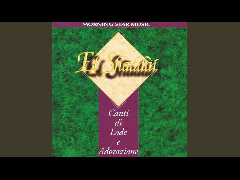 Benedetto Sei Tu Signore (feat. David Brian Srb, Guido Focardi, Roberto Bonaiuti & Lorraine...