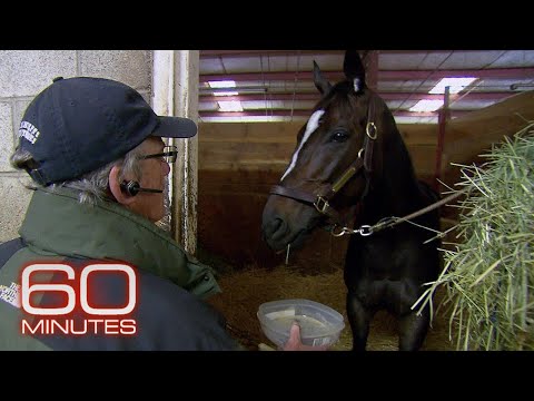 John Shirreffs & Zenyatta | 60 Minutes Archive