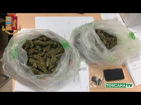 2019-04-26 PISTOIA - COLTIVA MARIJUANA IN CUCINA, ARRESTATO 48ENNE