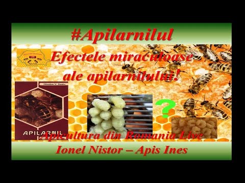 , title : '#Apilarnilul Efectele miraculoase ale apilarnilului! #ApisInes #IonelNistor'