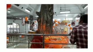 Hanuman Ji Status  Jay Shri Ram  Lord Jai Hanuman 