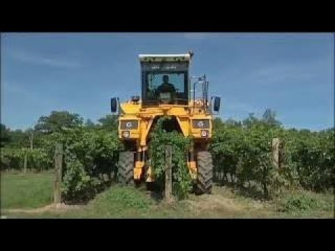 🚛 Mighty Machines Full Episodes 🚛 Bringing in the Harvest 🚛 Cartoons for Kids