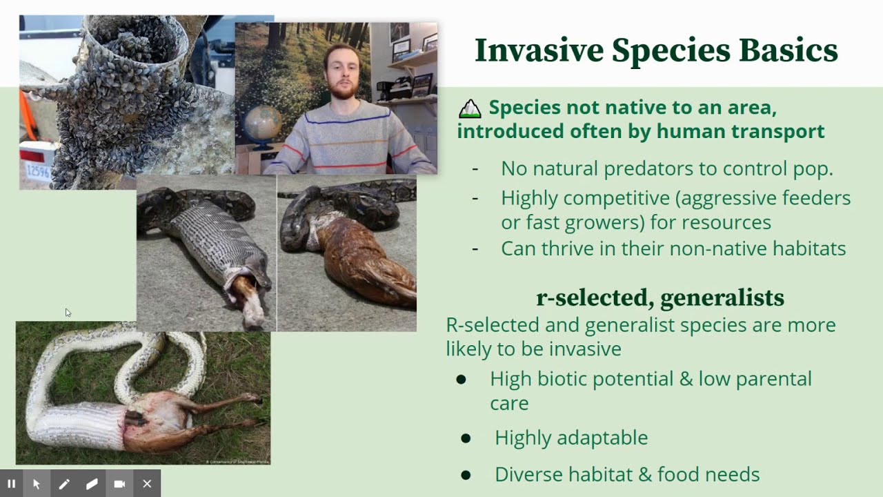 AP Environmental Science 9.8 - Invasive Species