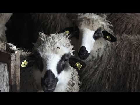 Agro karavan 13.12.2020. NAJAVA