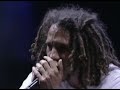 Rage Against the Machine - Born Of A Broken Man - 7/24/1999 - Woodstock 99 East Stage (Official)