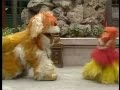 Big Bird In China The Lion Dogs