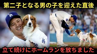 Japanese baseball news, 日本プロ野球ニュース, NPB latest MLB速報, Shohei othani Dodgers breaking news, ドジャース速報,