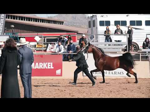 AJ Kharena US National 2021