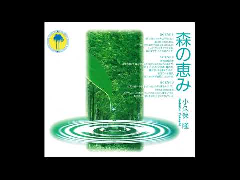 Takashi Kokubo (小久保隆) - Blessings Of The Forest (森の恵み) (199X) [Full Album]