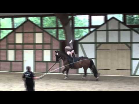 CVI Krumke 2014 - Chiara Congia Kür Sonntag