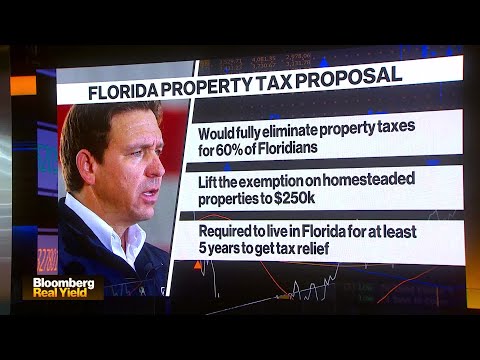 DeSantis Proposes Axing Taxes on Homes in Florida