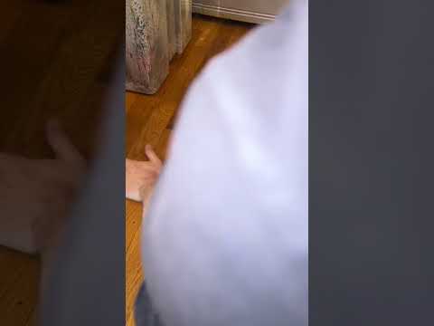 私がショウジョウバエを飼育する理由