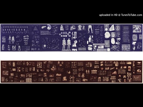 [FREE] NASCAR ALOE X TRIPLESIXDELETE TYPE BEAT - "EVOLUTION" [[prod. by triplesixdelete]]