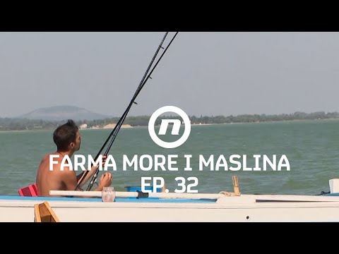 Riba ne grize - Epizoda 32 | Farma More i Maslina