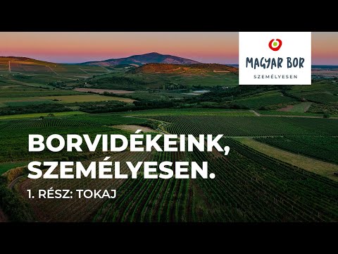 Borvidékeink, személyesen. 1. rész: Tokaj