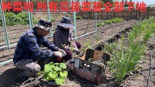 山脚郡的春天从五月底开始 2025May24