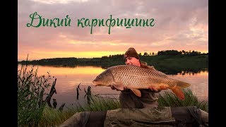 Карповая оснастка от а до я