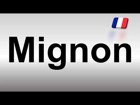 How to Pronounce Mignon