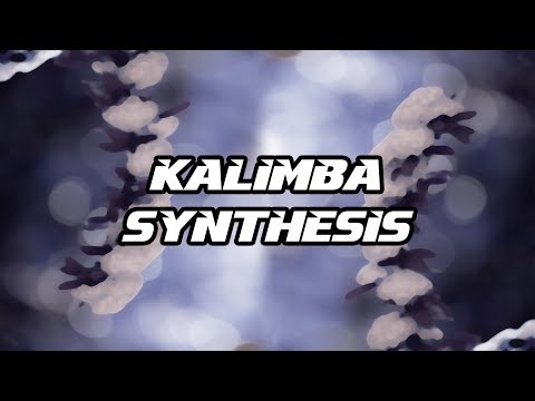 Tutorial #61 | Kalimba Synthesizing In Serum