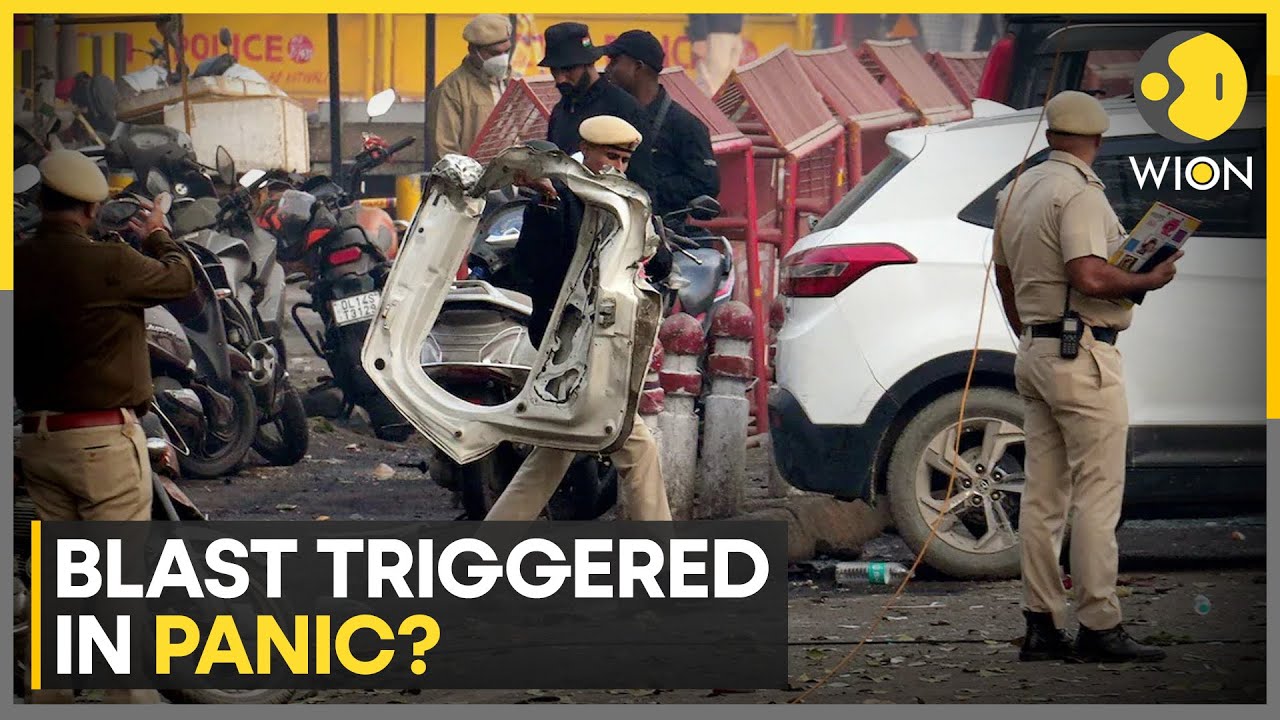 Delhi Blast Probe: Initial Probe Indicates 'Accidental Detonation' of Explosives | WION