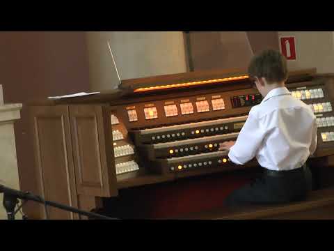 02 Goedicke  Sonatina  Sacha Chaplygin