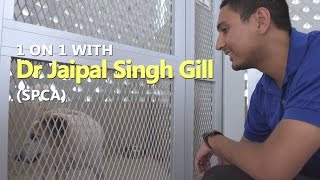 1 On 1 With Dr Jaipal Singh Gill (SPCA) | CNA Insider