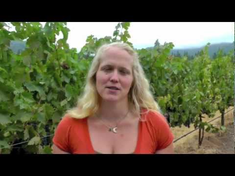 download lagu mp3 mp4 Organic Sulfite Free Wine Nz, download lagu Organic Sulfite Free Wine Nz gratis, unduh video klip Organic Sulfite Free Wine Nz