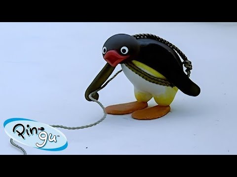 The Mountaineer! π§ | Pingu β Official Channel | Cartoons For Kids - Kids (0-4), Kingdom Kids Zone - Pingu - Official Channel