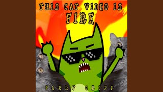 This Cat Video Is Fire (Slightly Longer Mix)