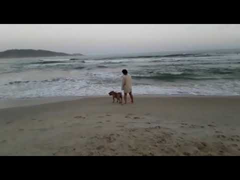 Sapir & Tchay (summer 19)