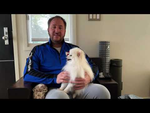 Knut's Roadmap to Success