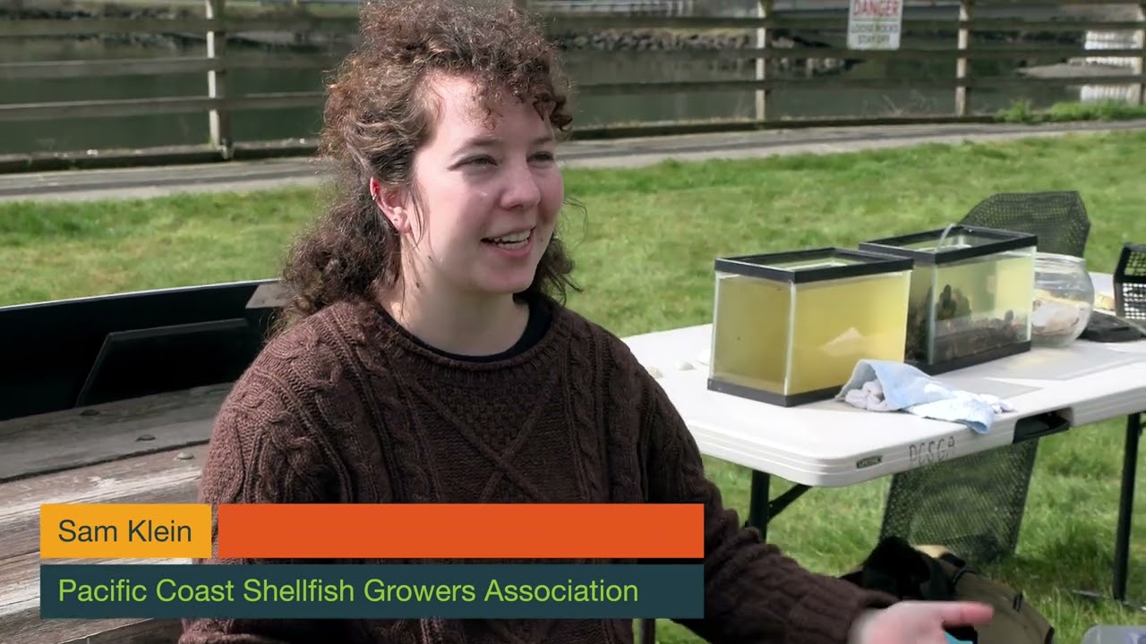 Brownsville Elementary School Water Jamboree